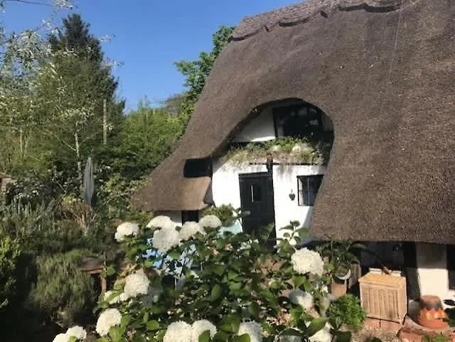 Grade II Listed Cottage In Berkswell, Close To Nec & Bhx Coventry
